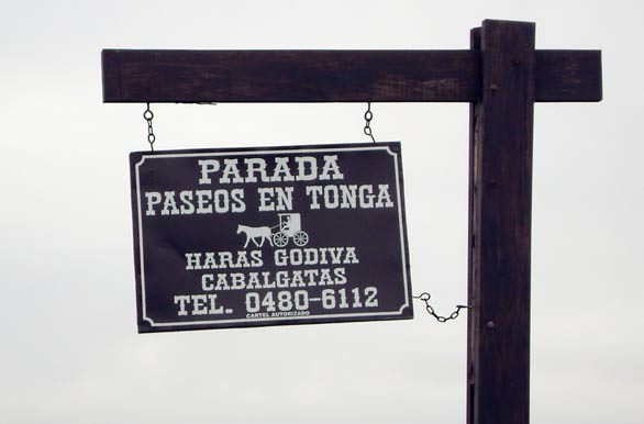 Passeios de Tonga - La Barra / Jos Ignacio