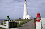 La Paloma