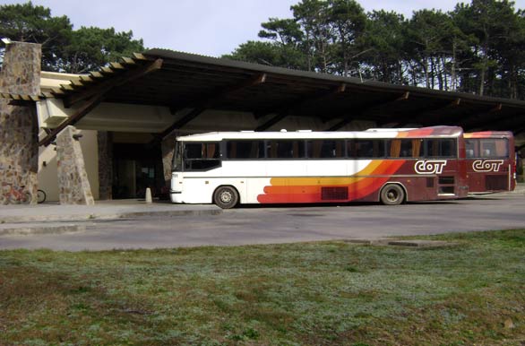 Terminal de mnibus - La Paloma