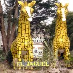 Parque Municipal El Jaguel