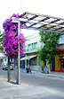 Glorieta en calle principal - Foto: Lorena González Glorieta en calle principal - Foto: Lorena González