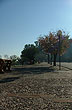 Avenida en Costanera - Photo: www.paysandu.gub.uy Avenida en Costanera - Photo: www.paysandu.gub.uy