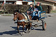 Tracci�n a sangre, Tacuaremb� - Foto: Jorge Gonz�lez