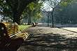 Avenida arbolada, Paysand� - Photo: www.paysandu.gub.uy