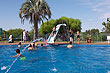 Palmeras Yatay en Guaviy�, Paysand� - Photo: www.paysandu.gub.uy