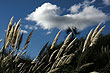 Paisaje en Minas - Foto: Pablo Etchevers