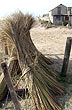 Zona agreste con arenales de incre�ble fineza - Foto: Pablo Etchevers