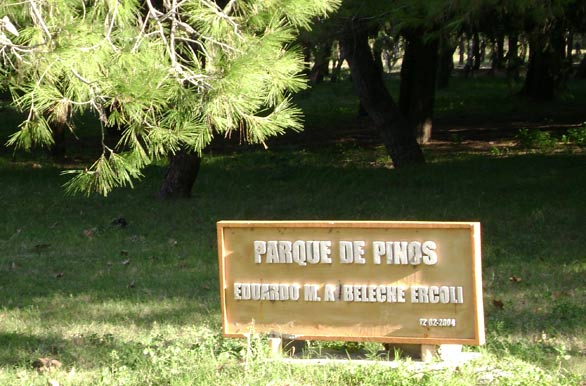 Parque de pinheiros - Carmelo