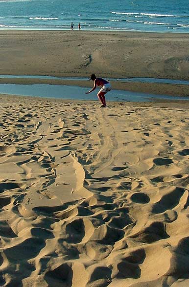 Dunas de fina areia - Chuy