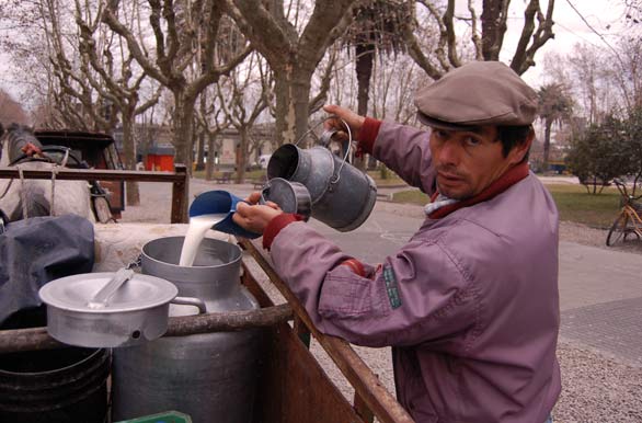 Leche fresca - Durazno