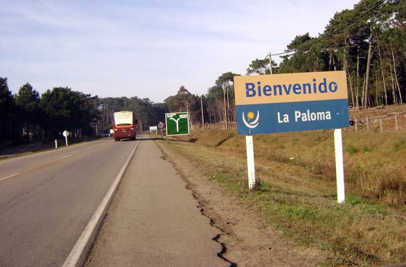 Bienvenida - La Paloma
