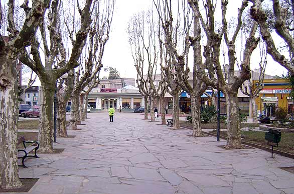 Plaza Rocha - La Paloma