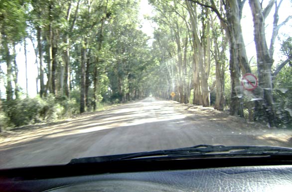 A 60 km.de la frontera con Brasil - Melo