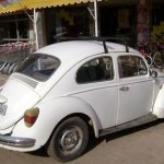 Volkswagen Escaravelho